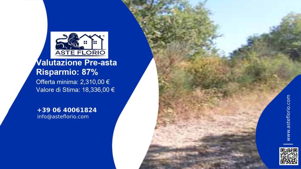 terreno agricolo in vendita a Pietracatella