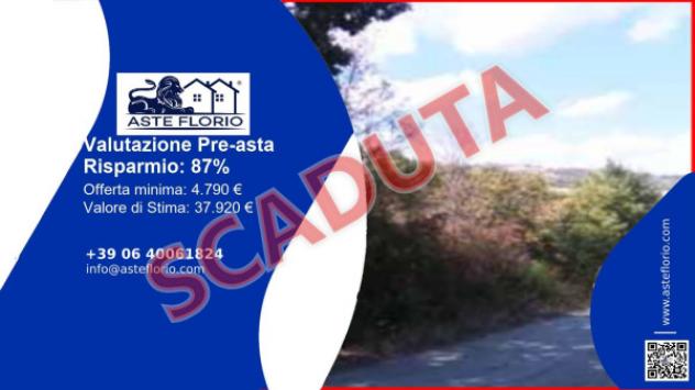 terreno agricolo in vendita a Pietracatella