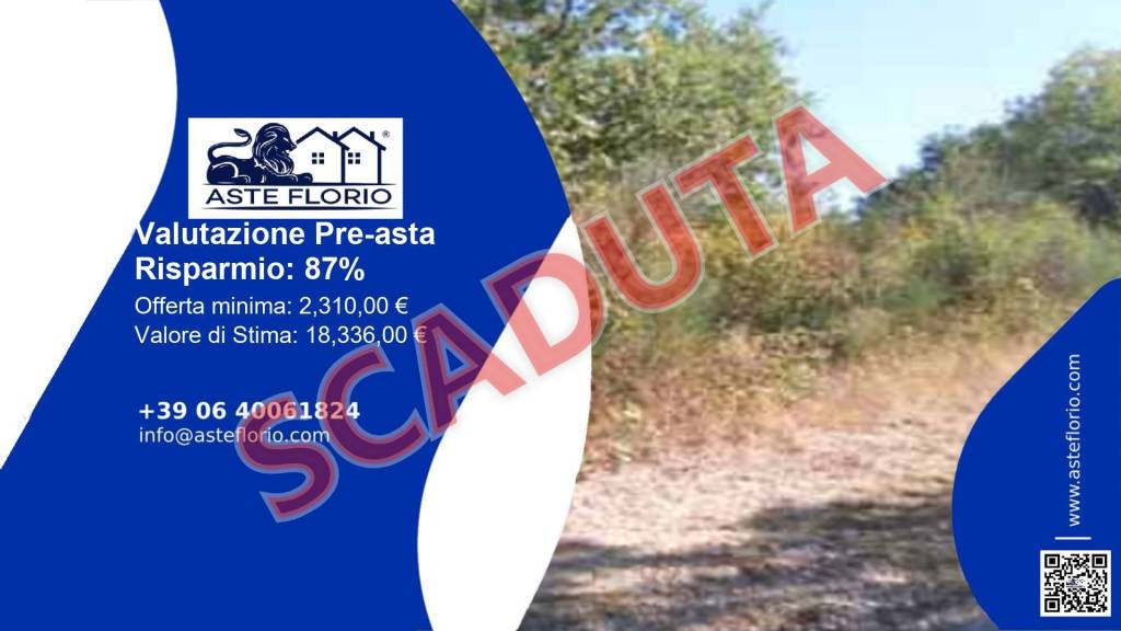 terreno agricolo in vendita a Pietracatella