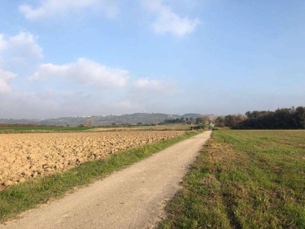 terreno agricolo in vendita a Portocannone