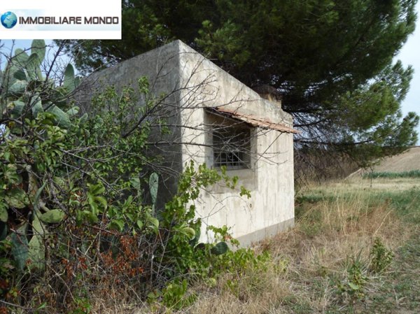 terreno agricolo in vendita a Portocannone