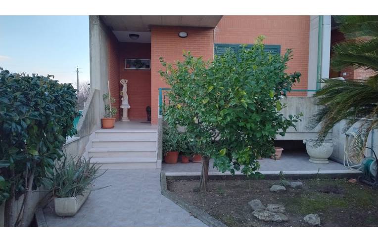 casa indipendente in vendita a Portocannone