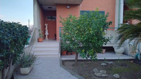 casa indipendente in vendita a Portocannone