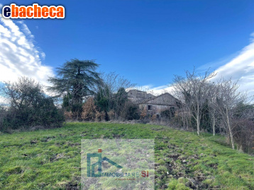 casa indipendente in vendita a Riccia