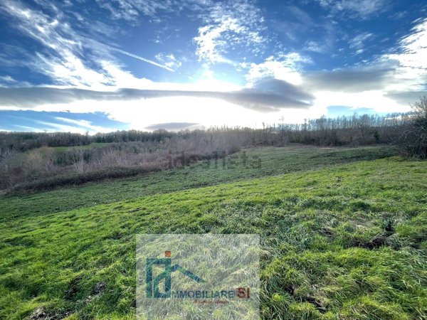 casa indipendente in vendita a Riccia in zona Colle della Macchia