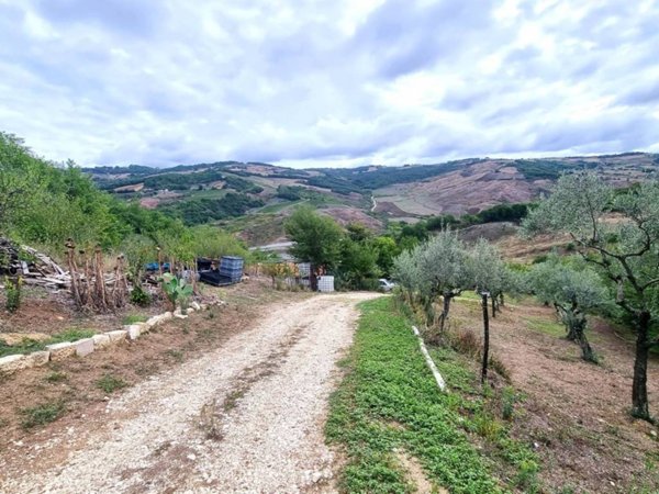 terreno agricolo in vendita a Ripalimosani