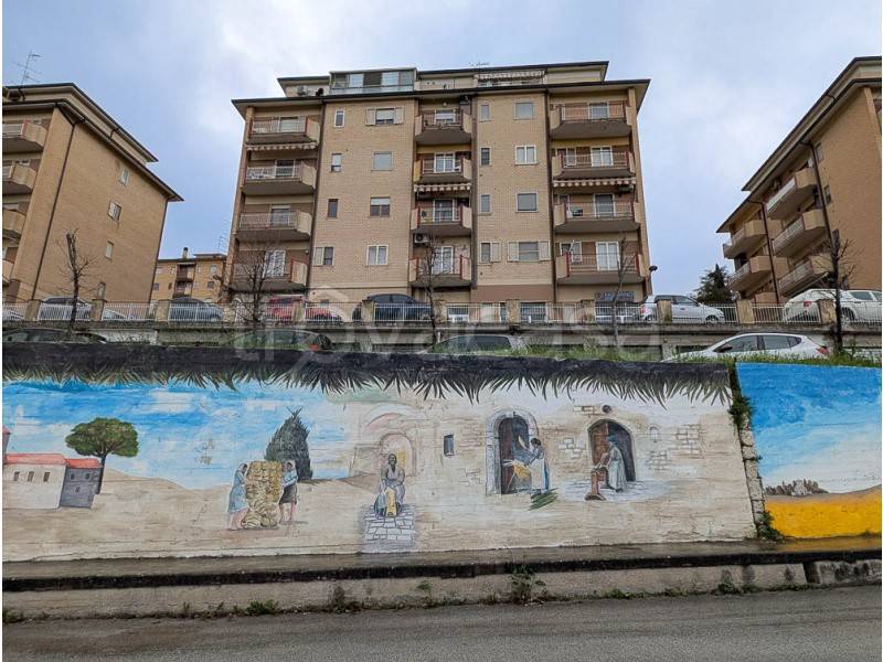appartamento in vendita a Ripalimosani