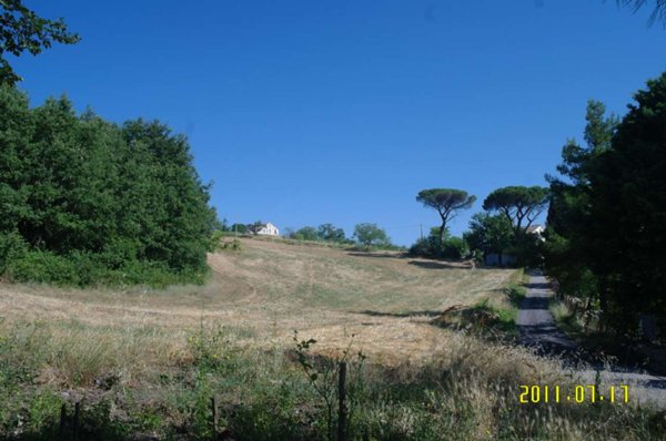 terreno agricolo in vendita a Ripalimosani