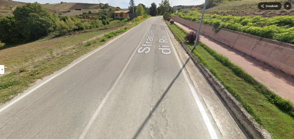 terreno agricolo in vendita a Ripalimosani