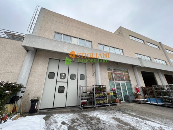locale commerciale in vendita a Ripalimosani