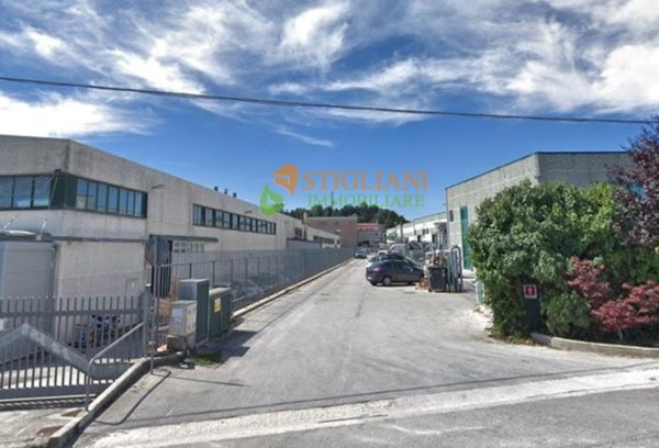 locale commerciale in vendita a Ripalimosani