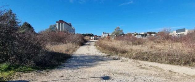 terreno agricolo in vendita a Ripalimosani