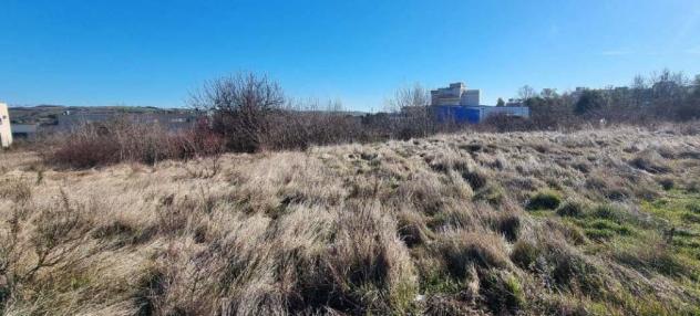 terreno agricolo in vendita a Ripalimosani