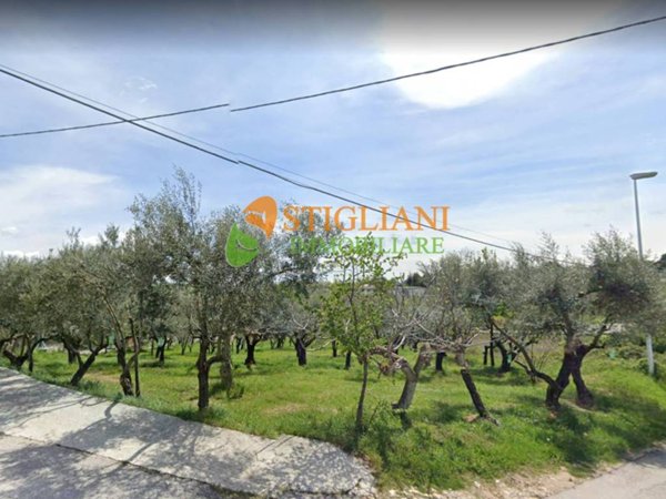 terreno agricolo in vendita a Ripalimosani