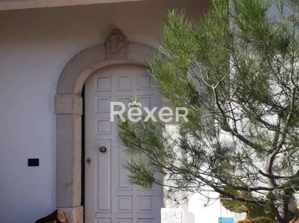 casa indipendente in vendita a Ripalimosani