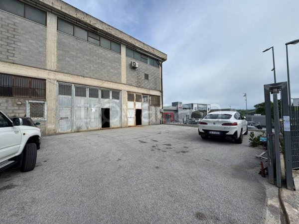 appartamento in vendita a Ripalimosani