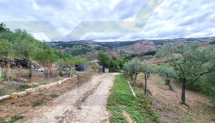 terreno agricolo in vendita a Ripalimosani