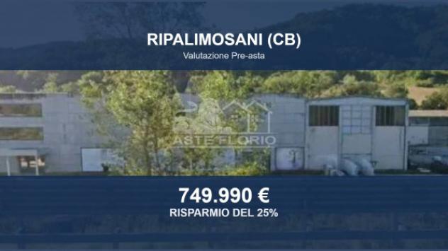 ufficio in vendita a Ripalimosani