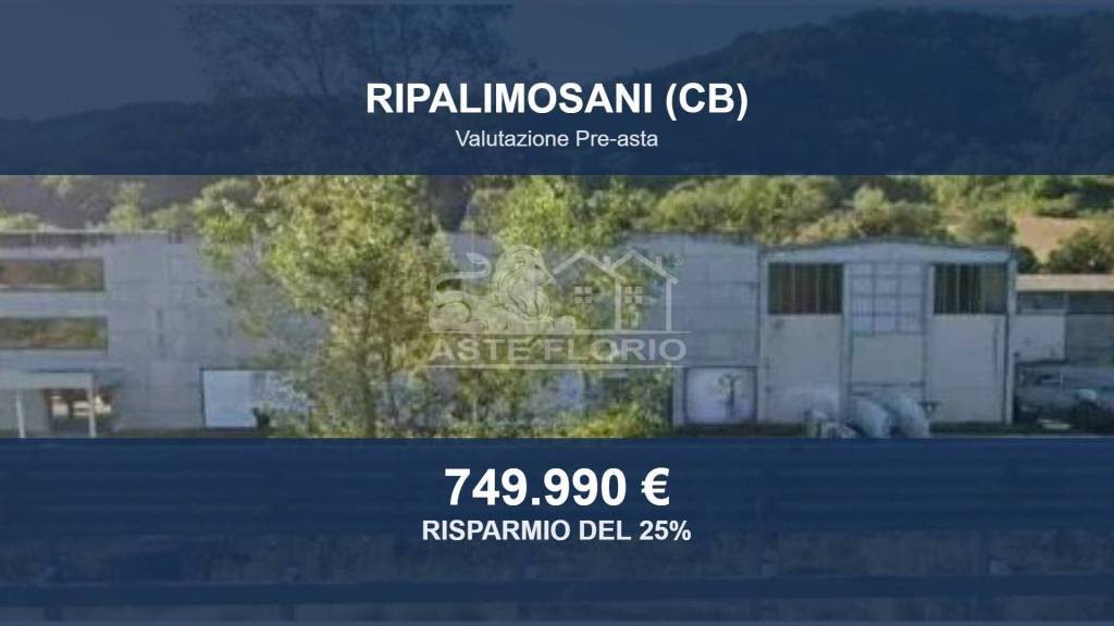 ufficio in vendita a Ripalimosani