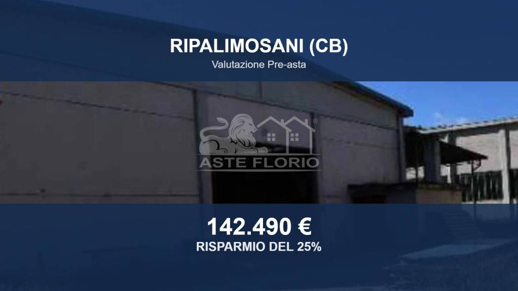 locale commerciale in vendita a Ripalimosani