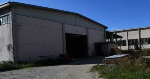 terreno agricolo in vendita a Ripalimosani