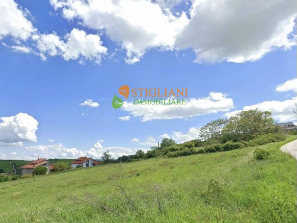 terreno agricolo in vendita a Ripalimosani