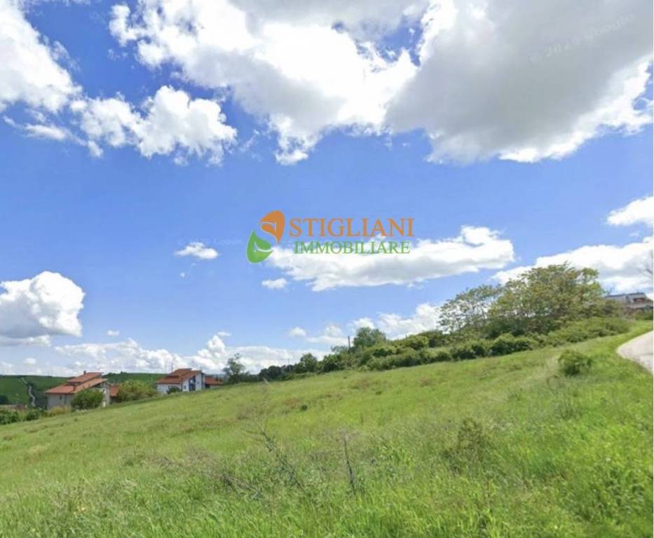 terreno agricolo in vendita a Ripalimosani