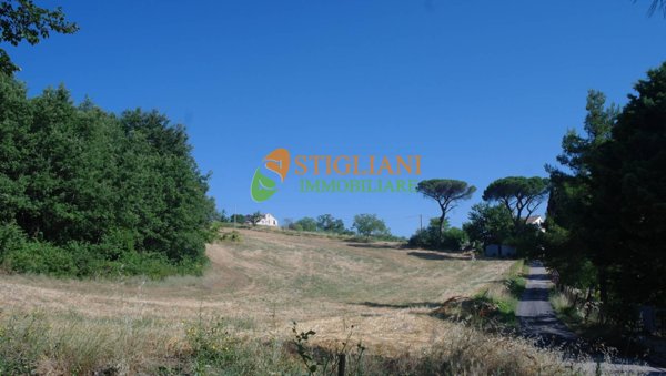 terreno agricolo in vendita a Ripalimosani