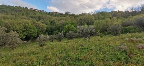 appartamento in vendita a Roccavivara