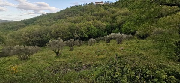 appartamento in vendita a Roccavivara