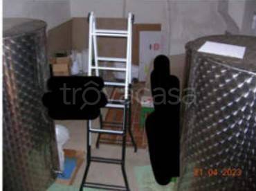 appartamento in vendita a Rotello