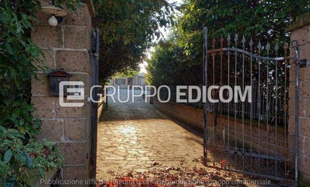 casa indipendente in vendita a Salcito
