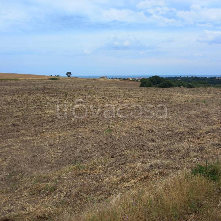 terreno agricolo in vendita a San Giacomo degli Schiavoni