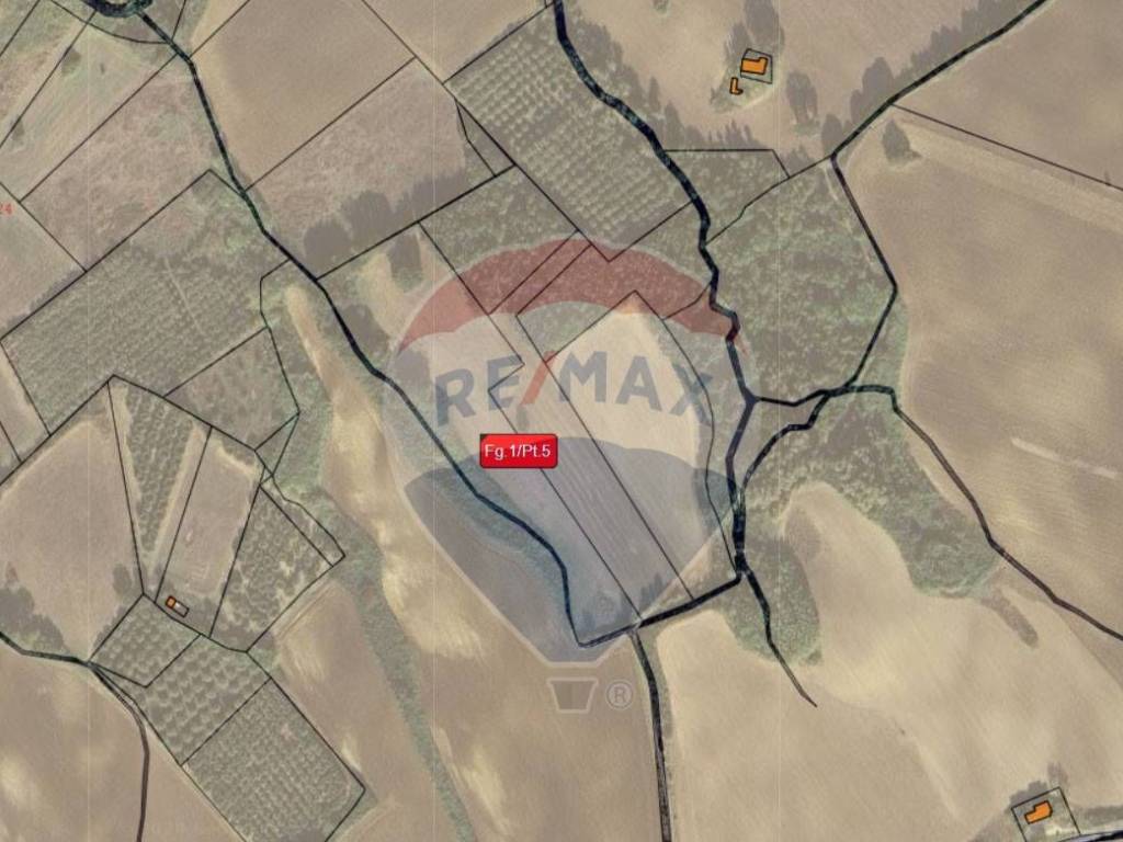 terreno agricolo in vendita a San Giacomo degli Schiavoni