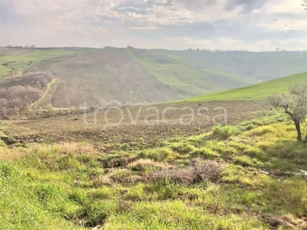 terreno agricolo in vendita a San Giacomo degli Schiavoni