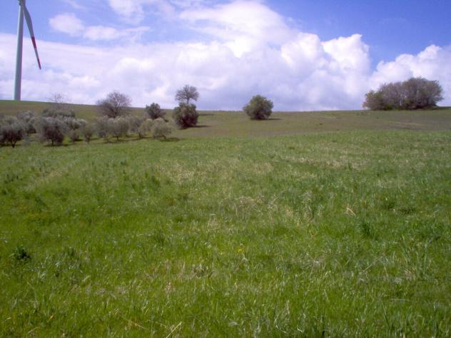 terreno agricolo in vendita a San Giovanni in Galdo