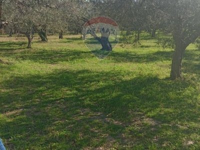 casa semindipendente in vendita a San Giuliano di Puglia