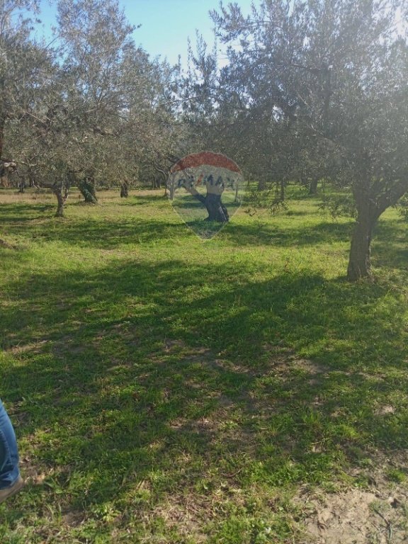 casa semindipendente in vendita a San Giuliano di Puglia