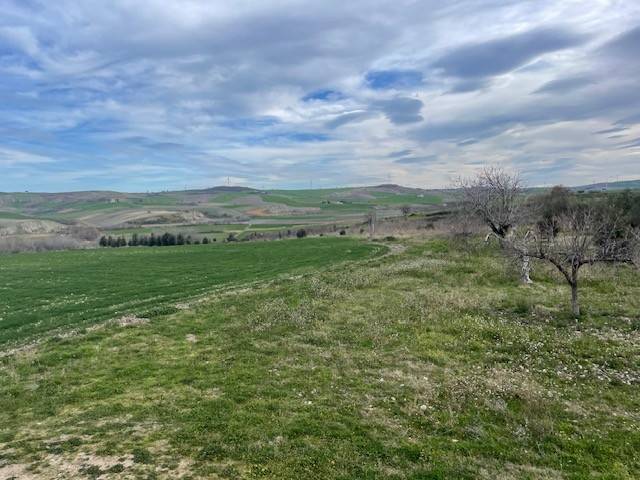 terreno agricolo in vendita a San Martino in Pensilis