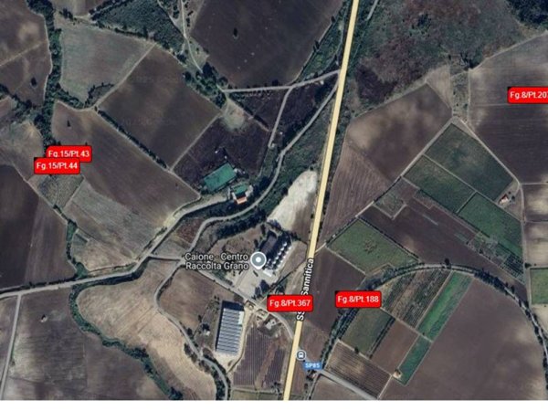 terreno agricolo in vendita a San Martino in Pensilis