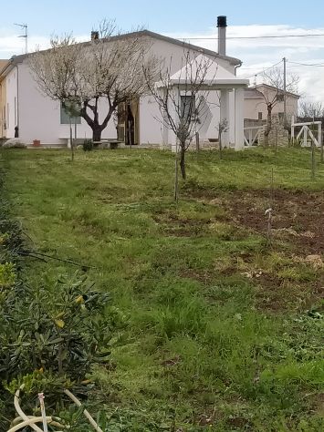 terreno agricolo in vendita a San Martino in Pensilis