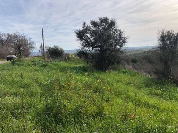 terreno agricolo in vendita a San Martino in Pensilis