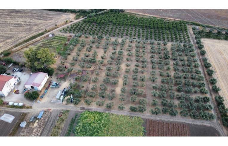 casale in vendita a San Martino in Pensilis