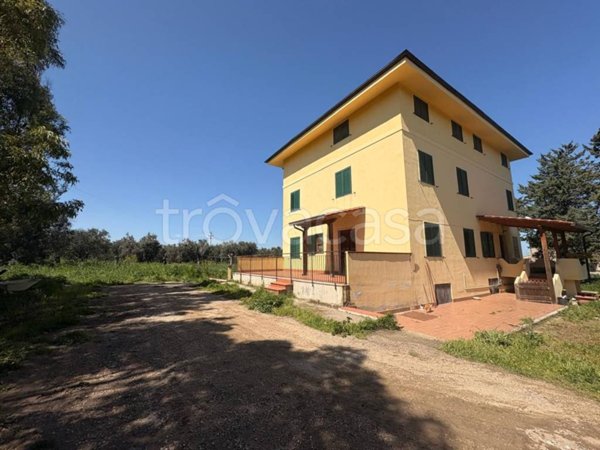 casa indipendente in vendita a San Martino in Pensilis