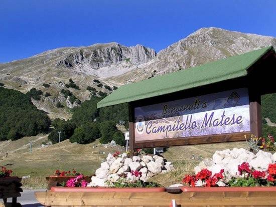 terreno agricolo in vendita a San Massimo