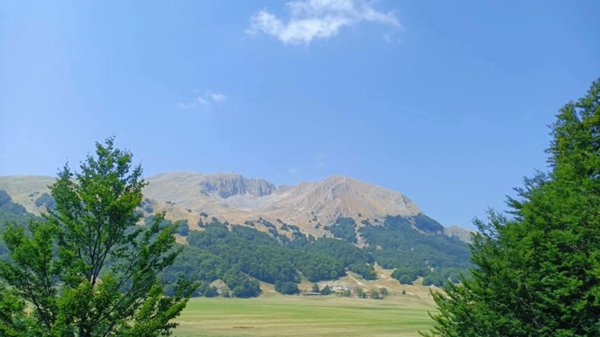 appartamento in vendita a San Massimo