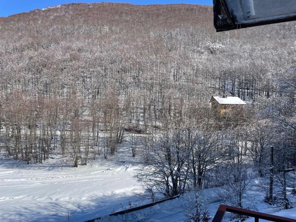 appartamento in vendita a San Massimo