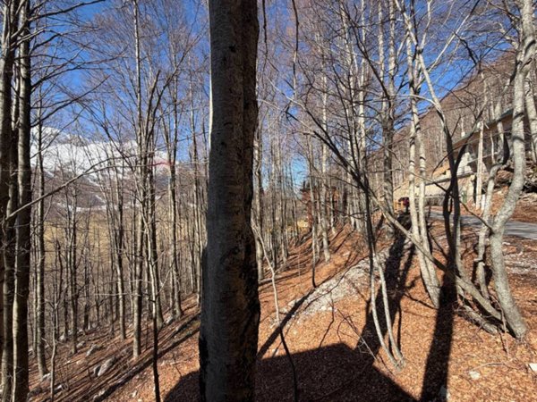 appartamento in vendita a San Massimo