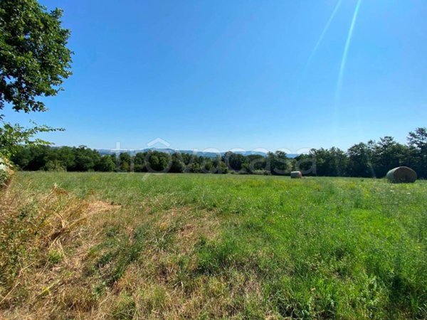 terreno agricolo in vendita a San Polo Matese