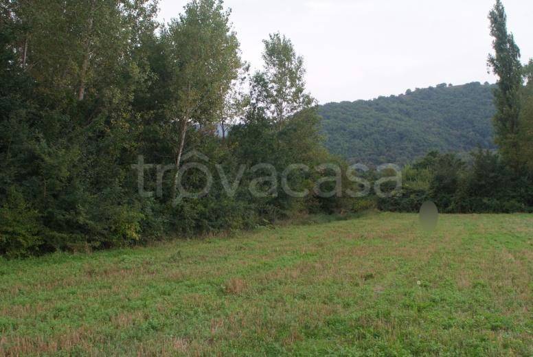 terreno agricolo in vendita a San Polo Matese